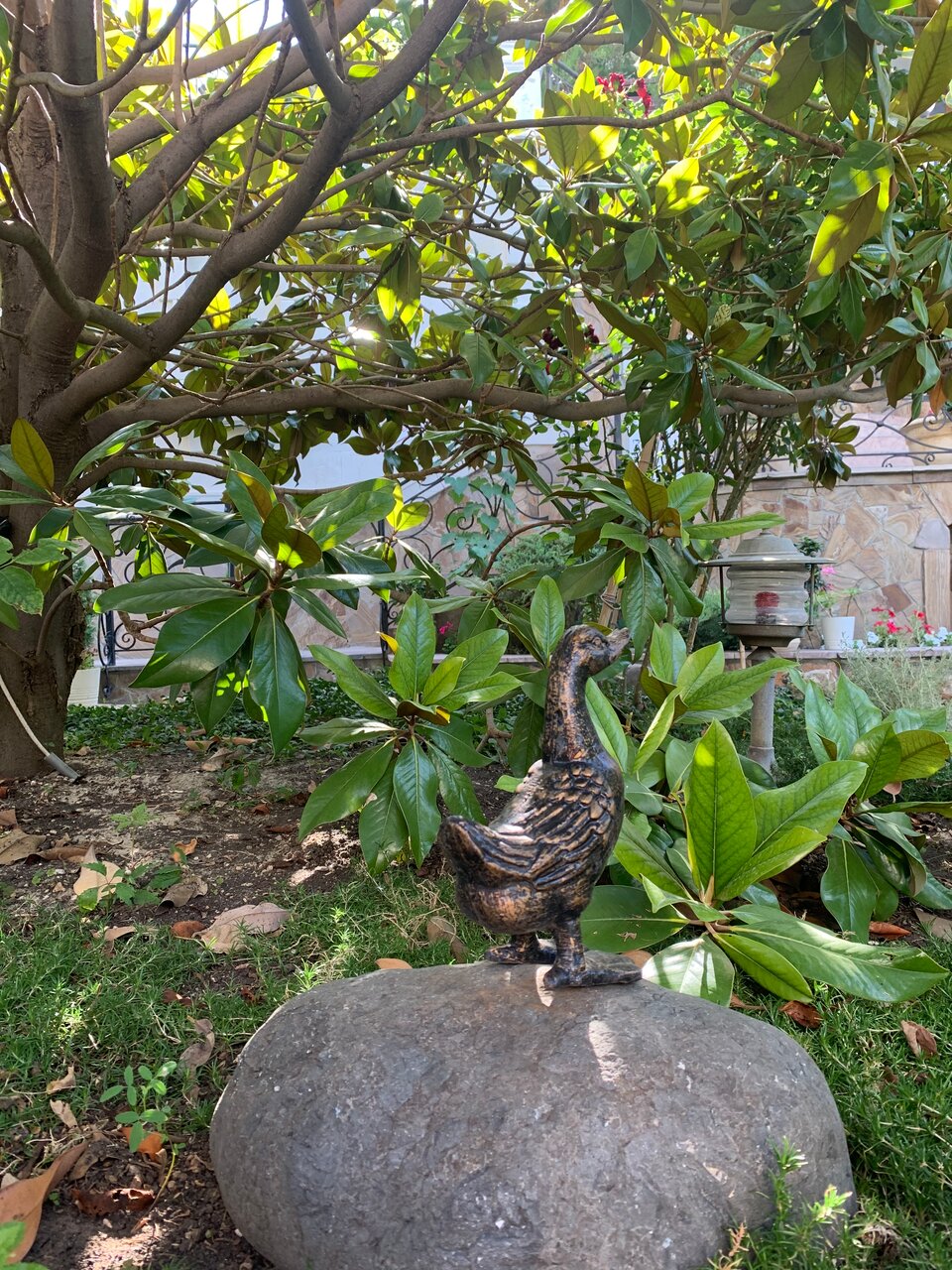 Гостевой дом Купринн Балаклава-201