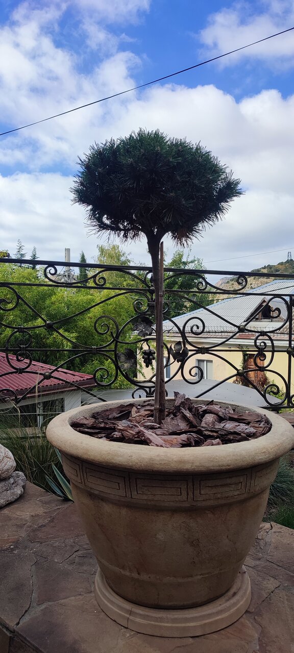 Гостевой дом Купринн Балаклава-167