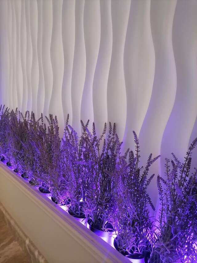 Гостевой дом Купринн Балаклава-244